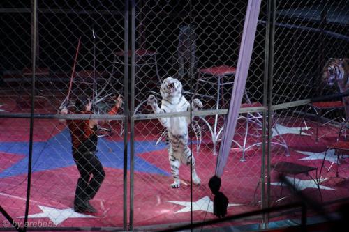 sd201601_20160429-131920-054