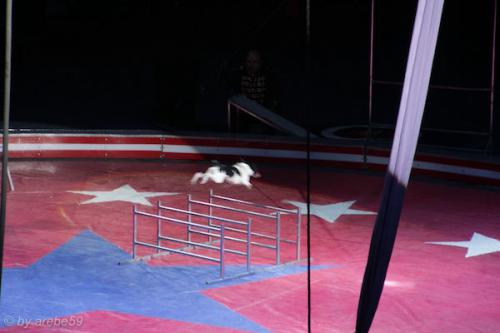 sd201601_20160429-133124-061