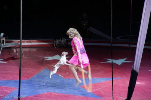 sd201601_20160429-133142-062