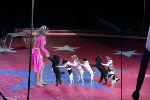 sd201601_20160429-133354-063