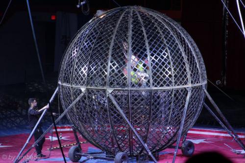 sd201601_20160429-140547-073