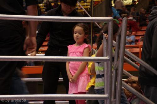 sd201601_20160429-142434-075