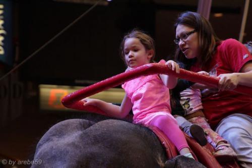 sd201601_20160429-142608-079