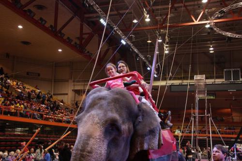 sd201601_20160429-142614-082