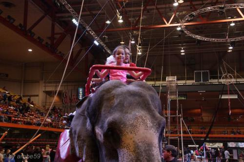 sd201601_20160429-142615-083