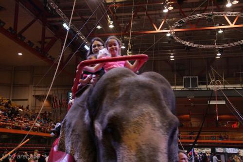 sd201601_20160429-142617-084