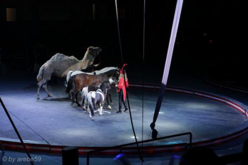 sd201601_20160429-145611-092