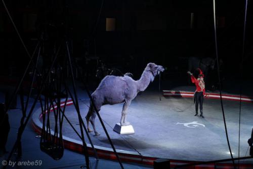 sd201601_20160429-145904-094