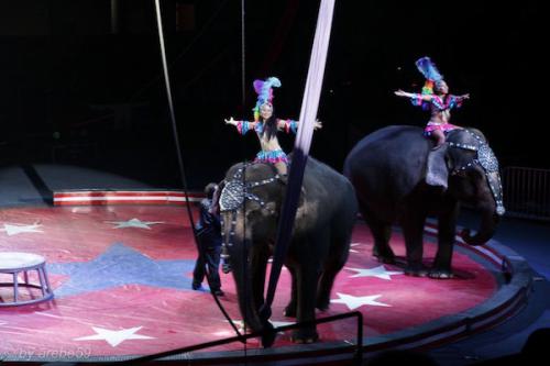 sd201601_20160429-151526-104