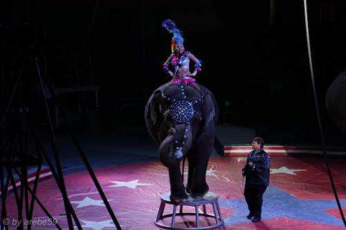 sd201601_20160429-151604-105