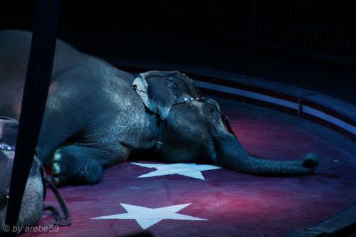 sd201601_20160429-151910-106