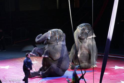 sd201601_20160429-151919-107