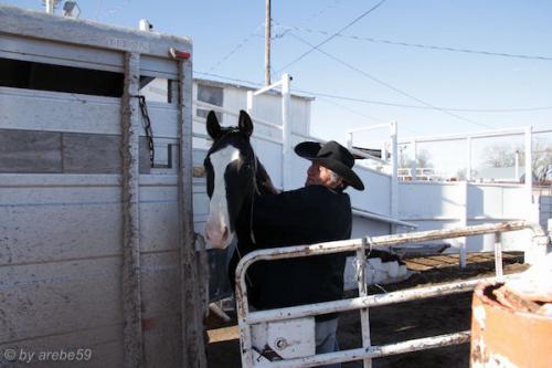 sd201601_20160501-175531-110