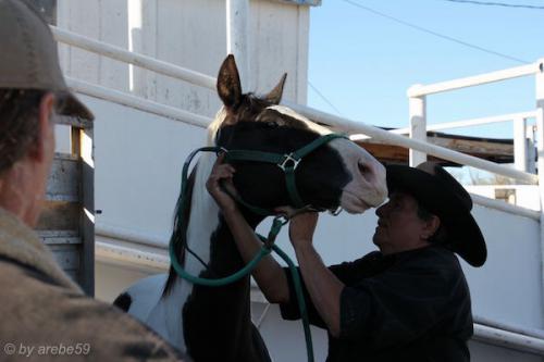 sd201601_20160501-175559-111