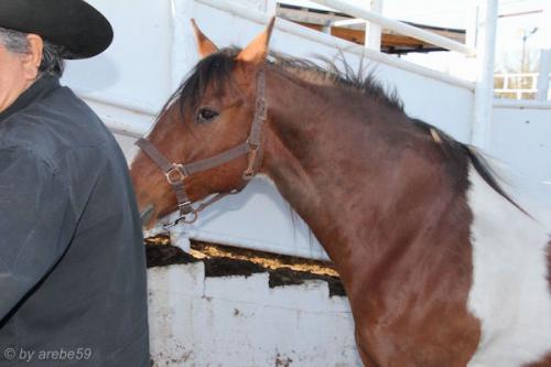 sd201601_20160501-175713-112