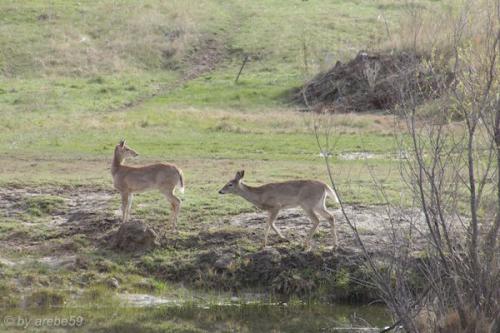 sd201601_20160502-080141-113