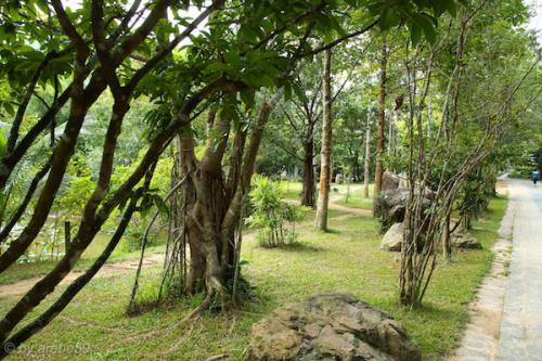 vn_september_16_00004