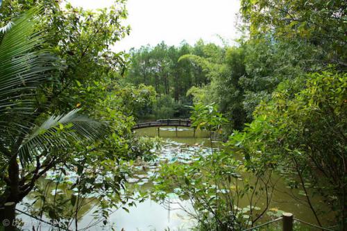 vn_september_16_00005