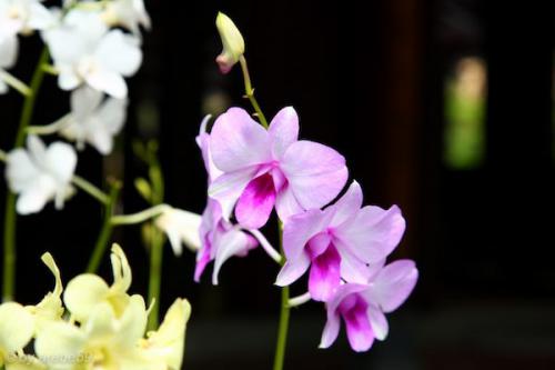 vn_september_16_00012