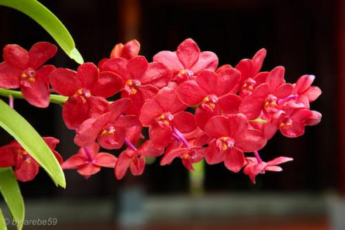 vn_september_16_00013