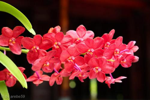 vn_september_16_00014