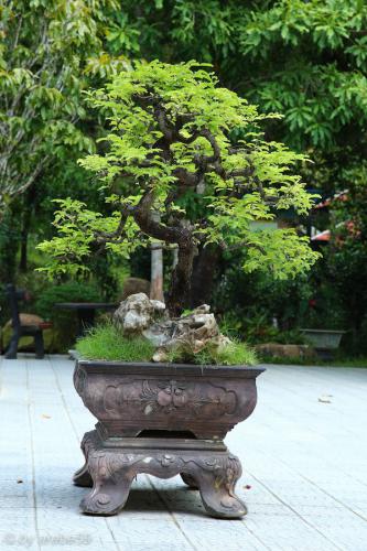 vn_september_16_00019