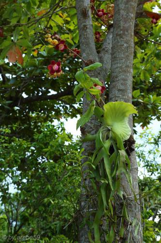 vn_september_16_00020