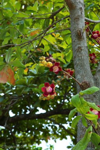 vn_september_16_00021