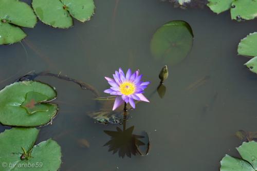 vn_september_16_00023