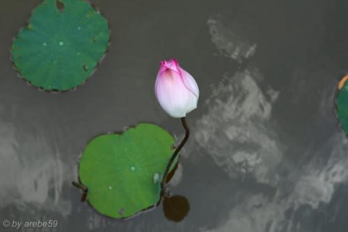 vn_september_16_00024