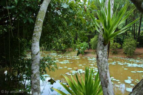 vn_september_16_00026