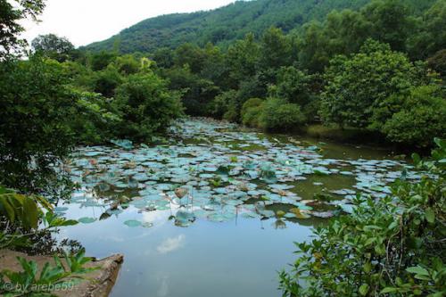 vn_september_16_00030