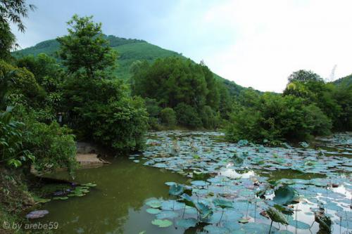 vn_september_16_00031