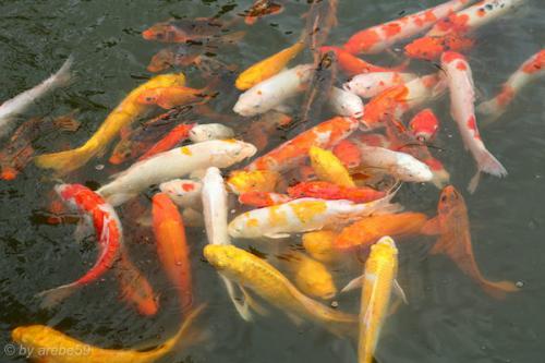 vn_september_16_00068