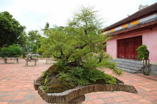 vn_september_16_00069