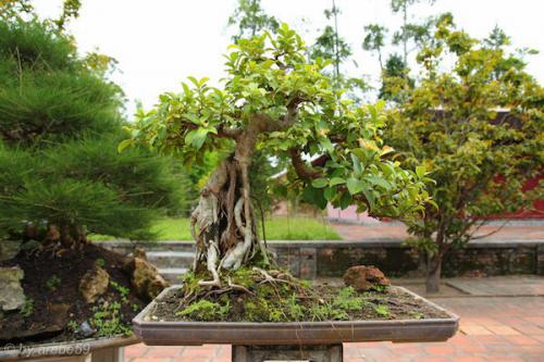 vn_september_16_00070