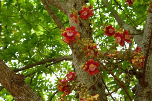 vn_september_16_00071