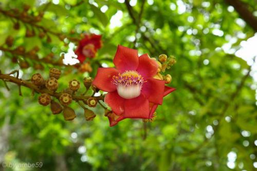 vn_september_16_00072