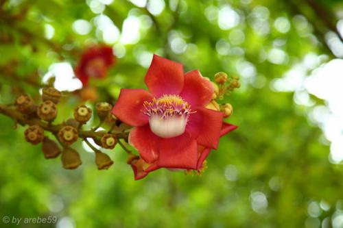 vn_september_16_00073