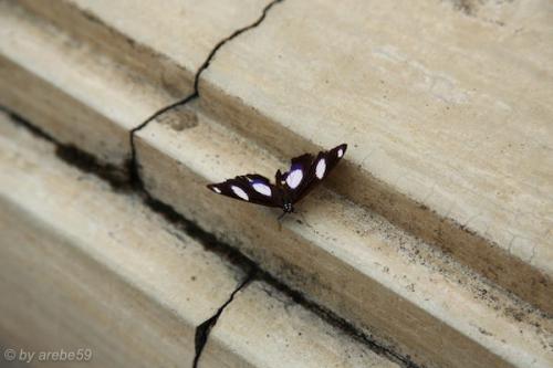 vn_september_16_00075