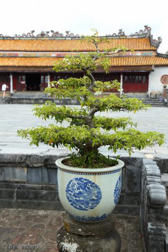 vn_september_16_00081